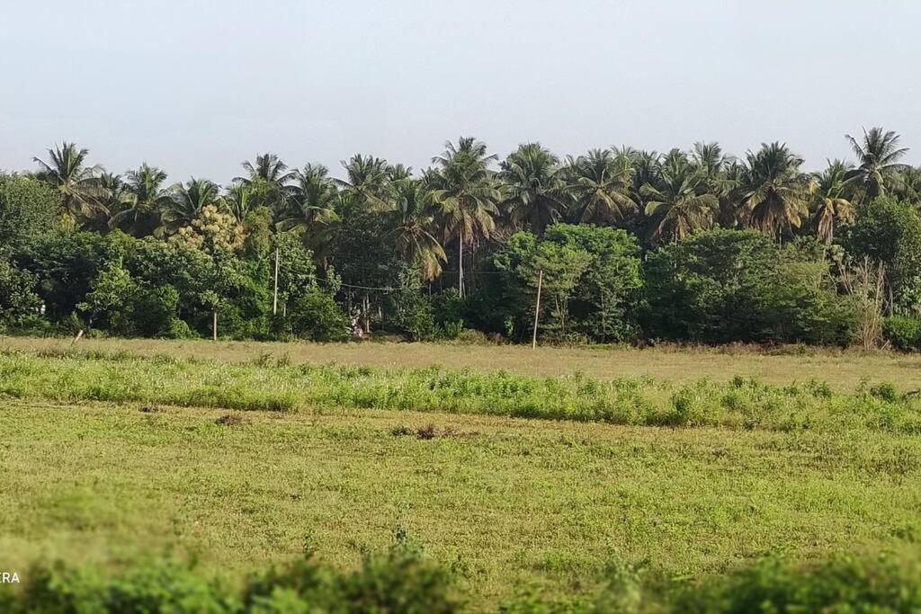 Kolluri Nivasa Entire Ff Bunglow, Garden, Green Surrounding, Hall Villa Mysore Ngoại thất bức ảnh