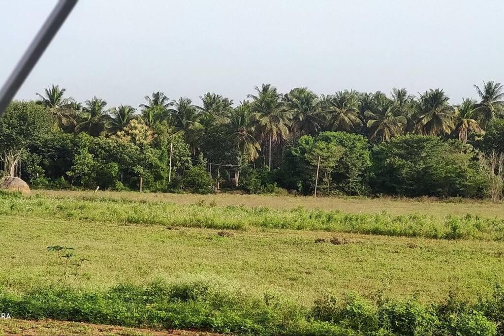 Kolluri Nivasa Entire Ff Bunglow, Garden, Green Surrounding, Hall Villa Mysore Ngoại thất bức ảnh