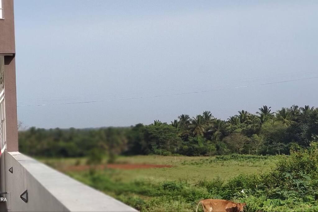 Kolluri Nivasa Entire Ff Bunglow, Garden, Green Surrounding, Hall Villa Mysore Ngoại thất bức ảnh